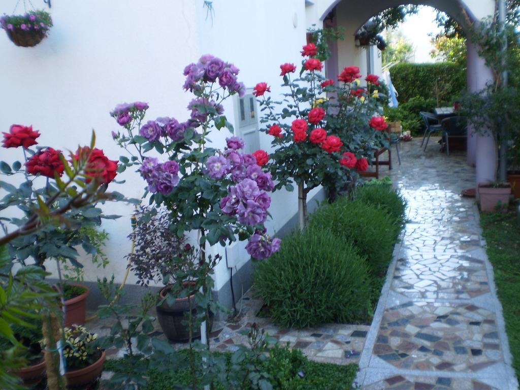 Apartments Nada Bibinje Exterior photo